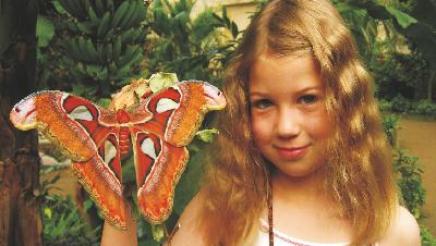 Schmetterlingspark Kl&uuml;tz